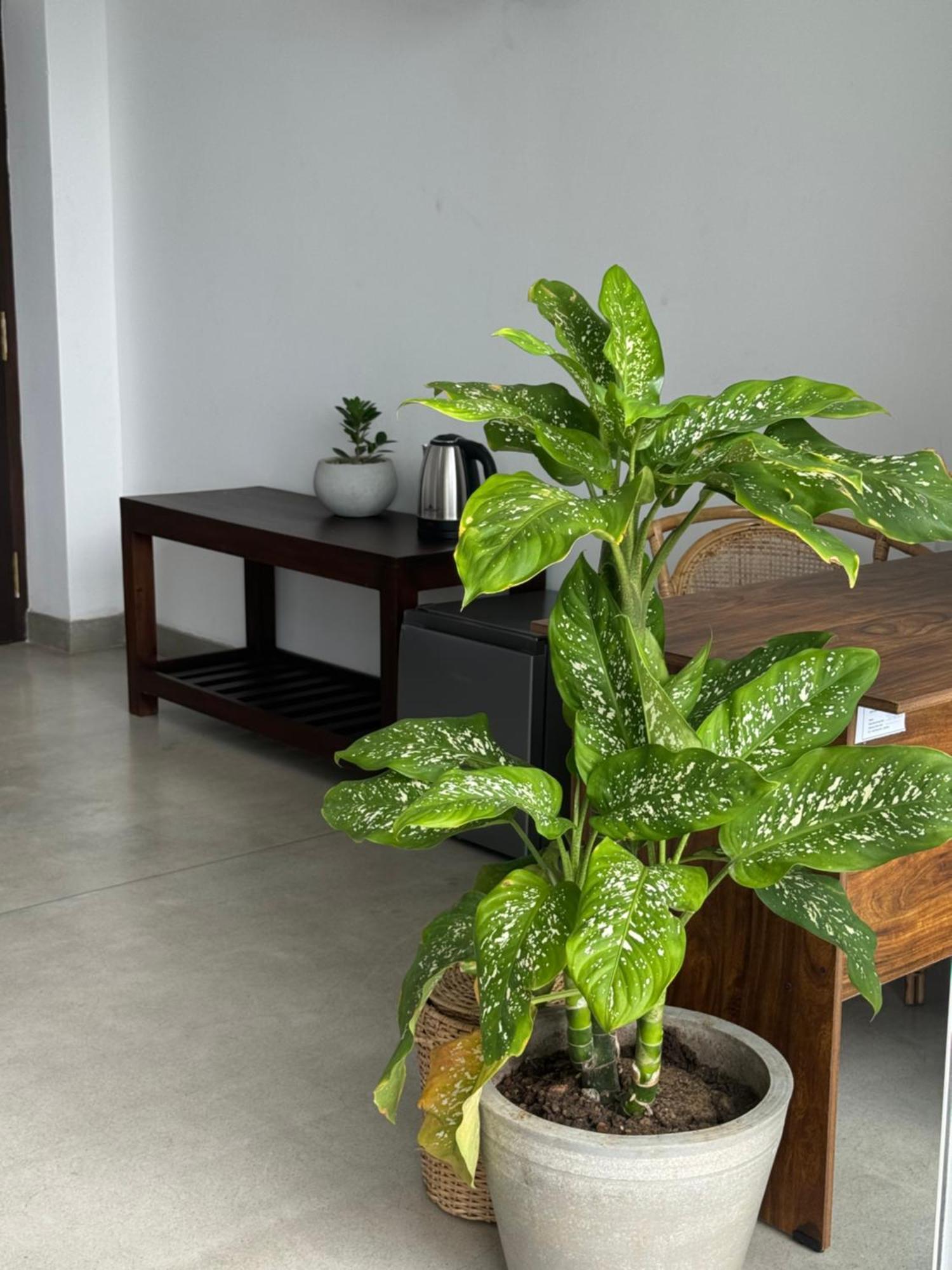 Sapiens Home - Weligama Bay Екстер'єр фото