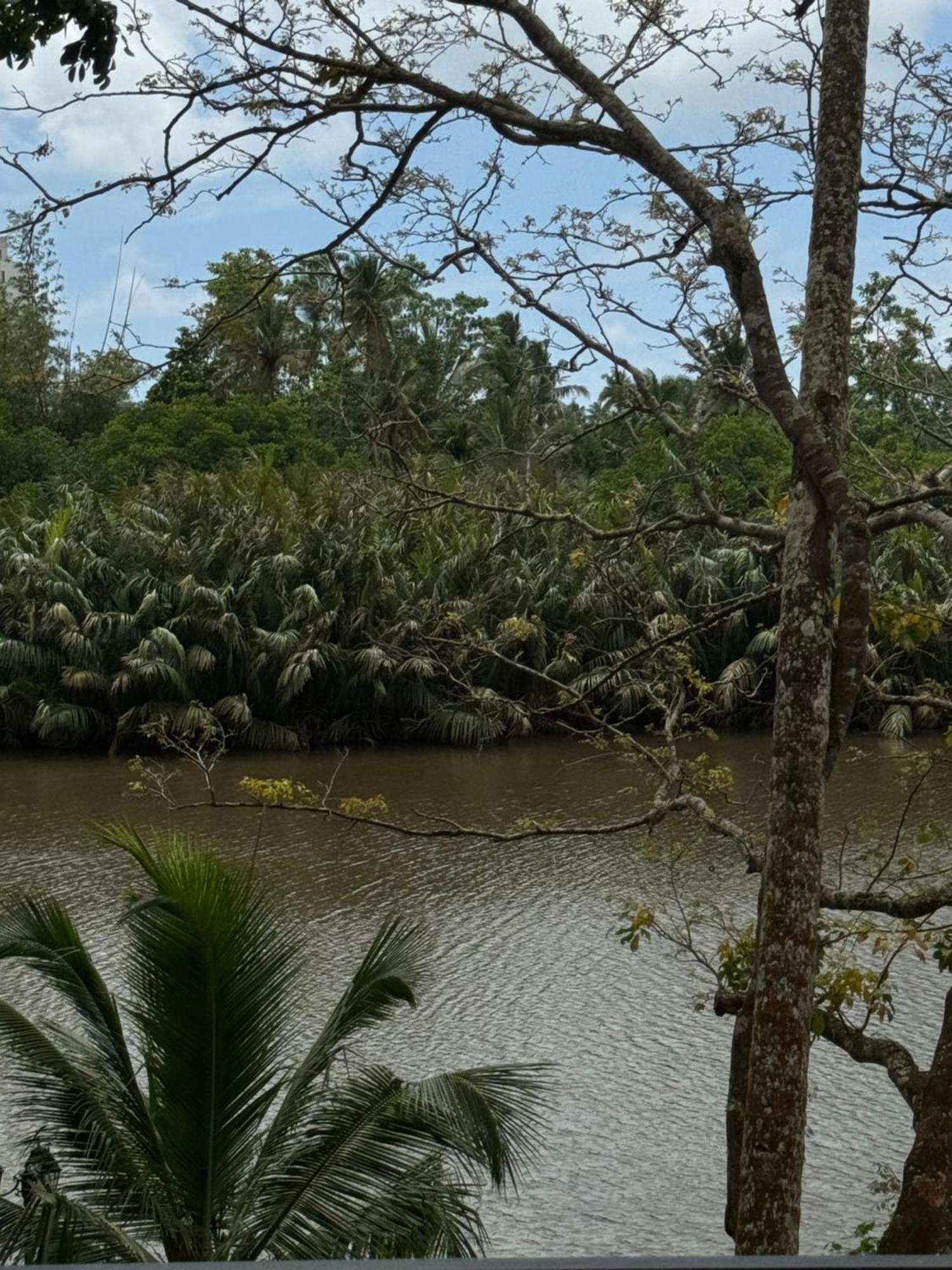 Sapiens Home - Weligama Bay Екстер'єр фото